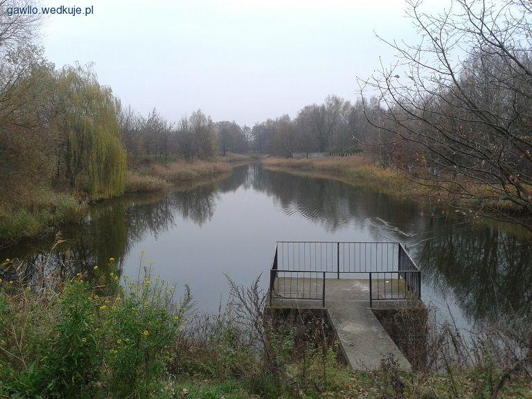 Zalew Poniatowskiego