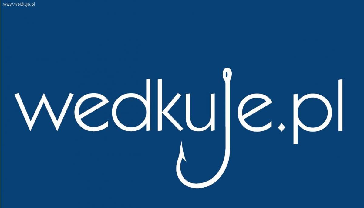 Sprawdź czy jesteś na liście - wybory blogera roku 2013!