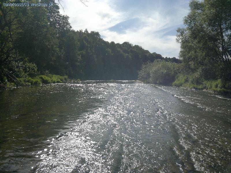 Ropa - kraina pstrąga i lipienia