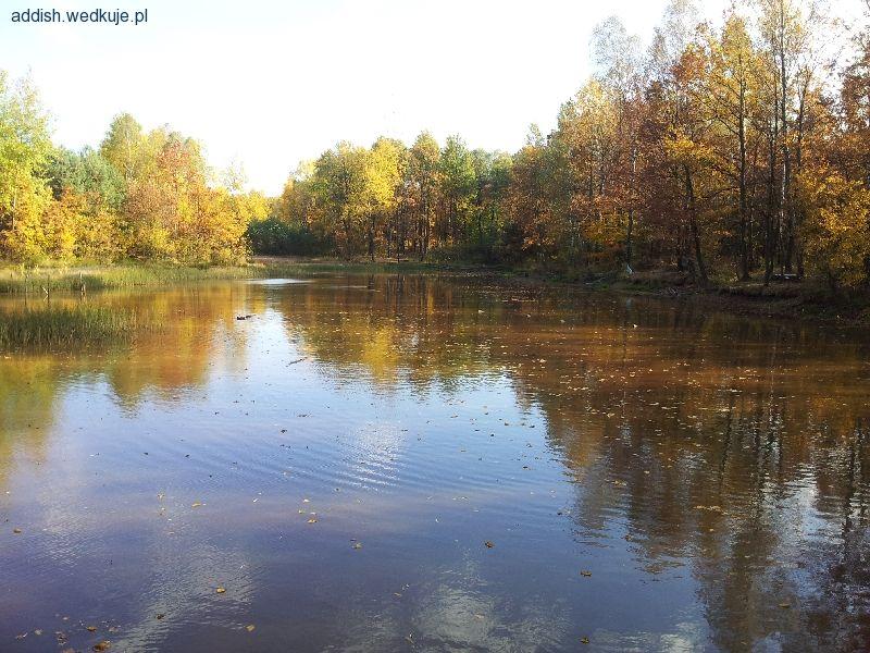 Staw Ślepiotka w Katowicach