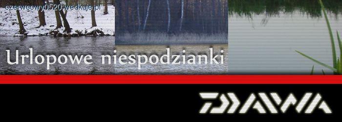 Urlopowe niespodzianki