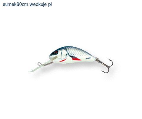 Salmo Hornet 2,5 cm Dace