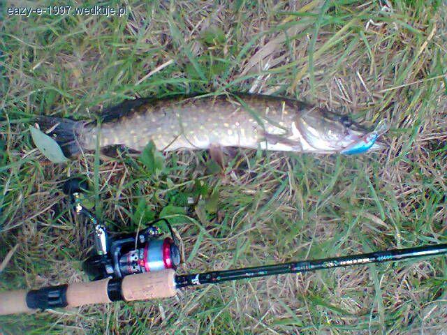 Cormoran Black Bull LRC Jigger 270/2-15