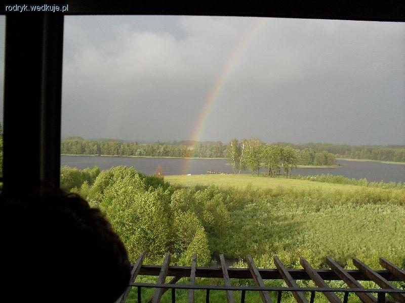 Boksze, mucha i wiewiórka