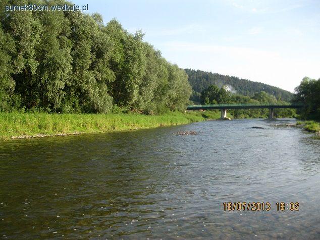 Górski spinning cz. 1 - Kleń