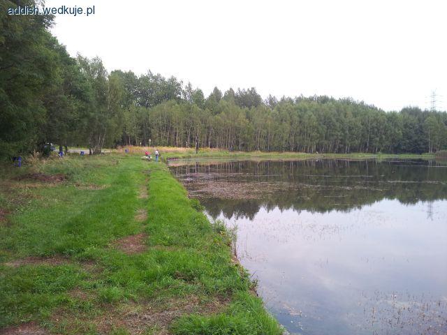 Staw Upadowy