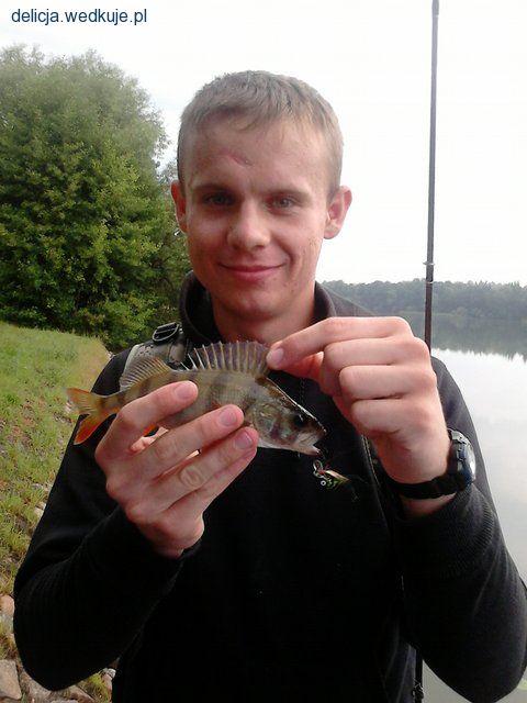 Poranne wyjścia na okonia
