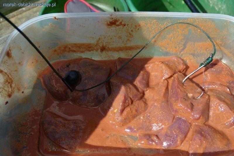 Przynęta naturalna na suma