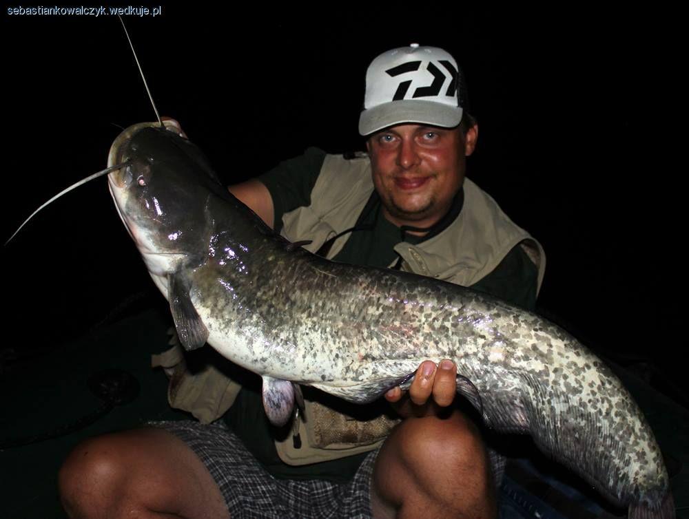 Kołowrotek Daiwa Exceler Z