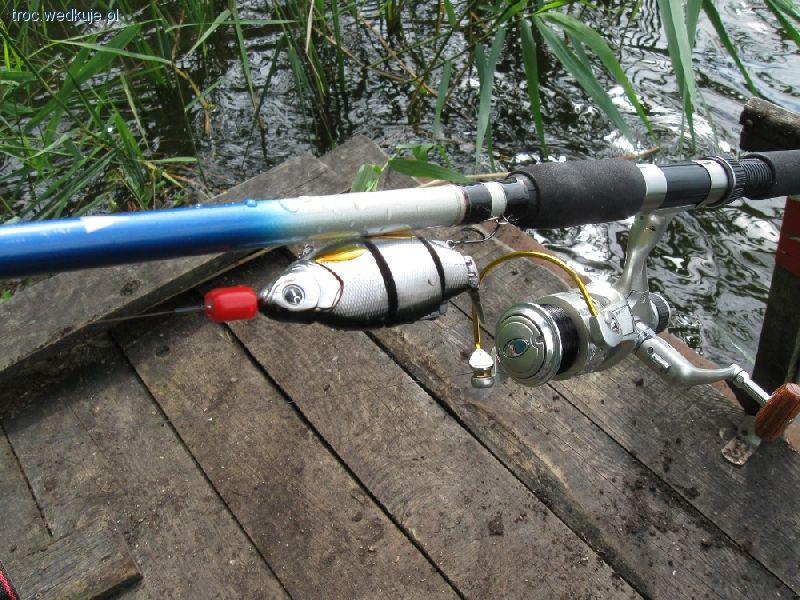 Swimbait Izumi Shad Alive