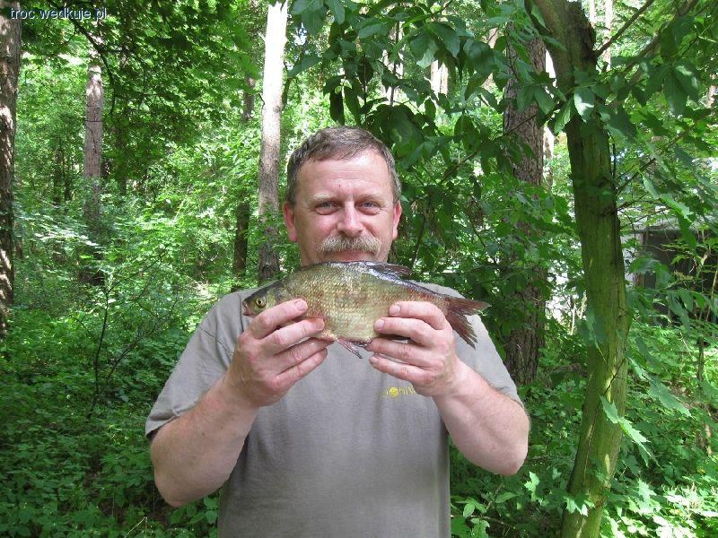 Zanętowe kombinacje-mieszanki zanętowe