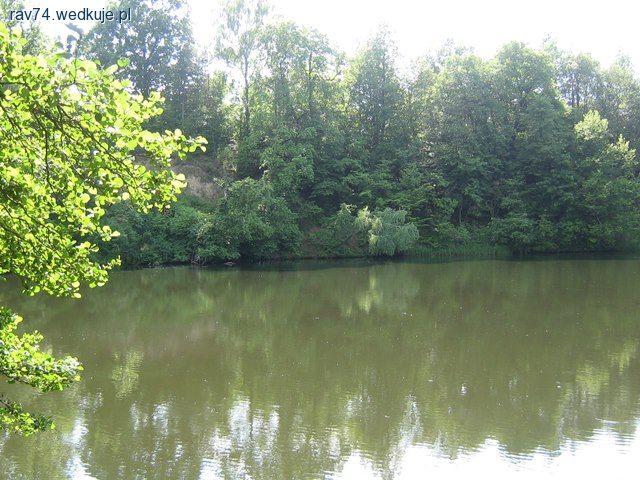 Główny bohater- leszcz