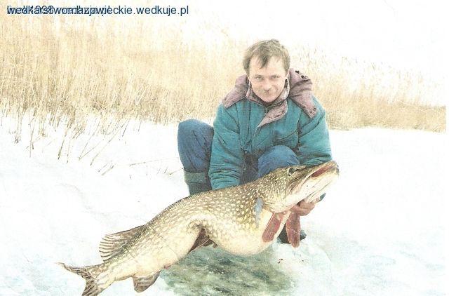 Największe szczupaki na świecie i w Polsce