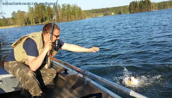 Przynęty spinningowe Sebile