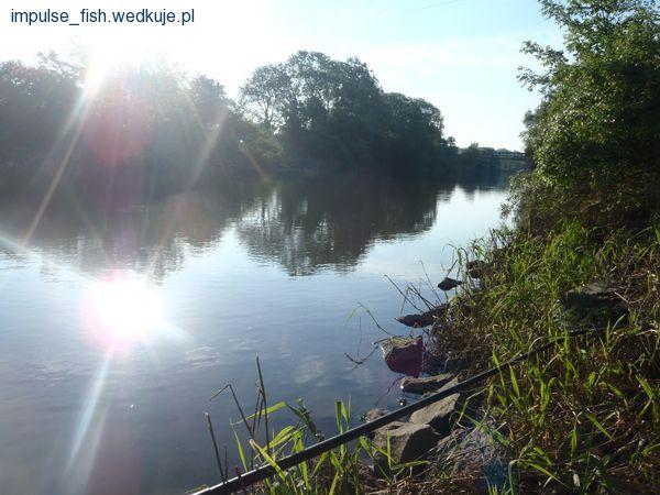 Test zanęt i dodatków Impulse Fish
