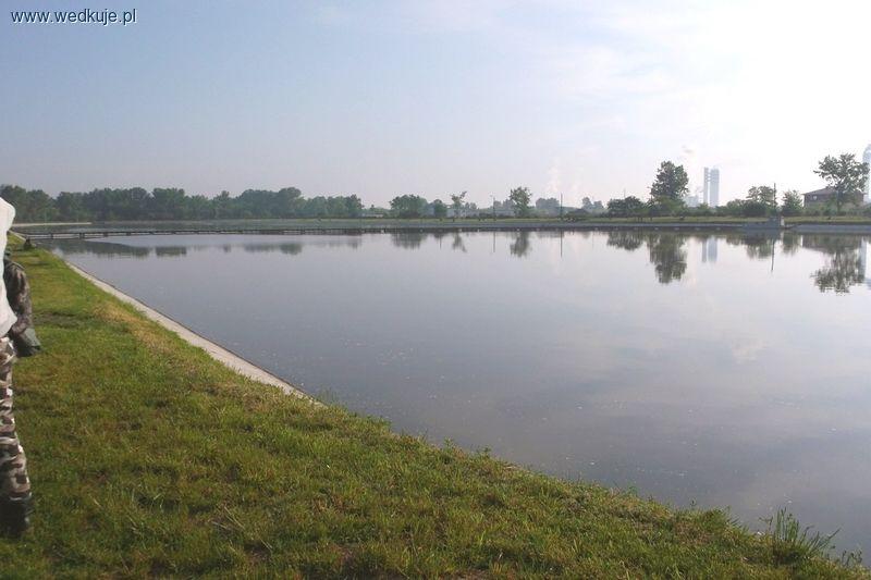 Osadnik Puławy Azoty - Łowisko Specjalne dla zawansowanych