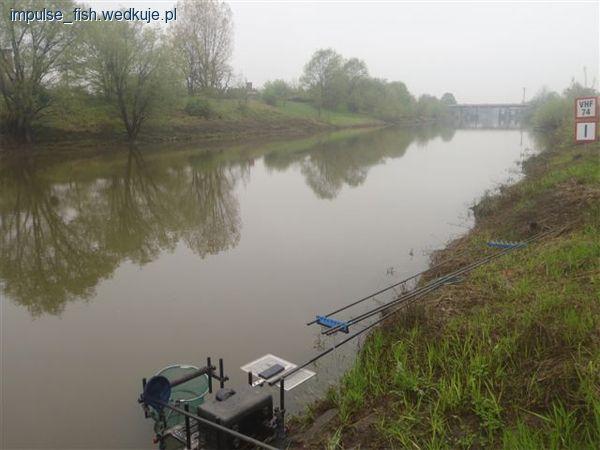 Test zanęty Impulse Fish