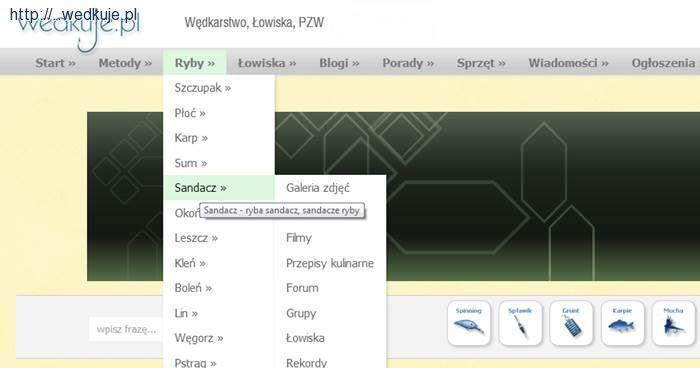 Długi weekend z sandaczem na wedkuje.pl