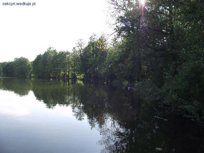 Zawody o mistrza koła Cekcyn 2013 