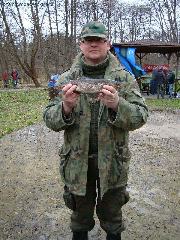 Pstrąg Wdy 2013