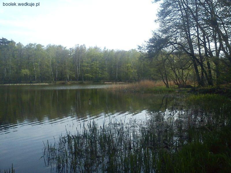 Pusty Staw - jezioro