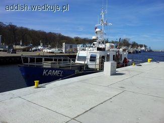 Kołobrzeg na dorsze