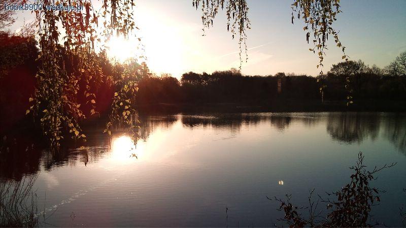 Waldsee Bad Laer