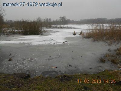 Wysoki Staw na Warszewie w Szczecinie
