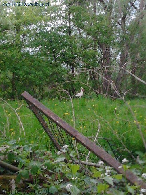 Przykazania wędkarza - cz. 3