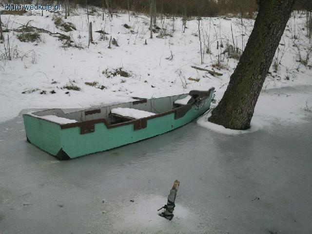Złośliwość czy głupota