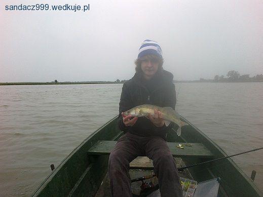 Bytyńskie sandaczyki