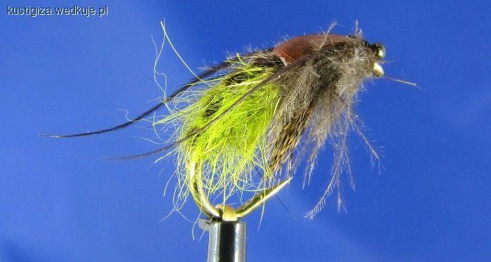 CDC Caddis Pupa V - WK - wersja light