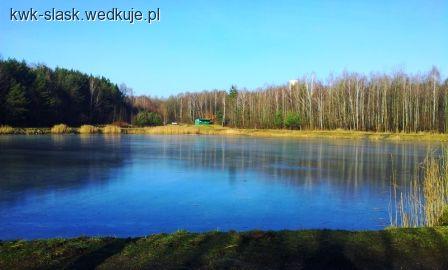 Staw 740