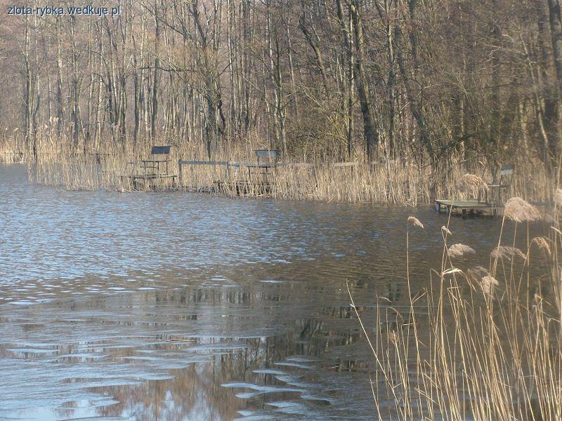 Opisu łowiska Karolewo Czarne