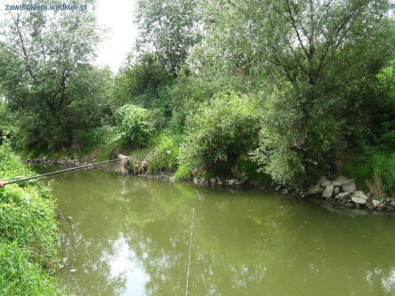 Mleczka w Gniewczynie Łańcuckiej.
