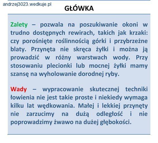 Trok czy główka?