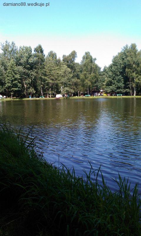 Staw nr 1 LIN