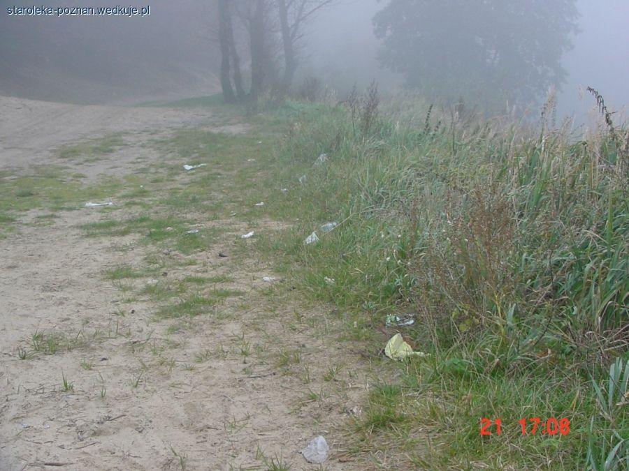 Znów jesień