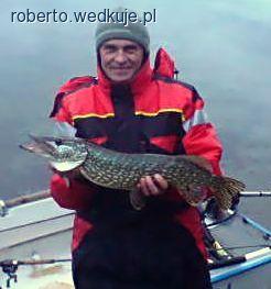 Na falach i lodzie