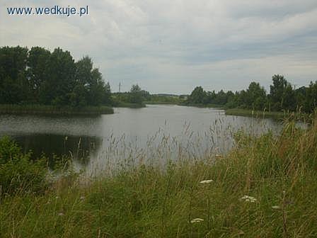 Jezioro Krzywek