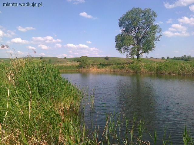 Nowe miejsce, nowe wyzwania