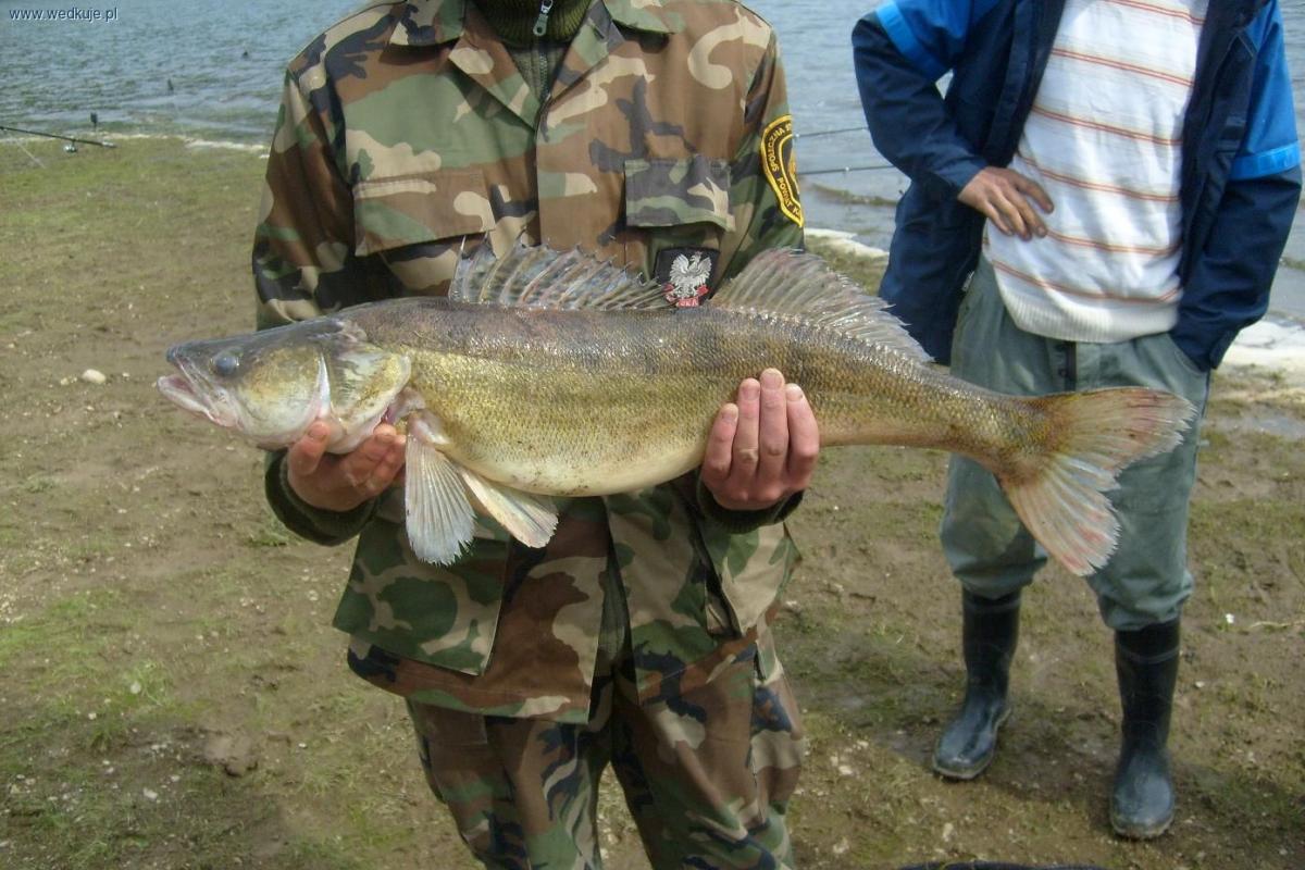 Zbiornik Bukówka w Sudetach Zachodnich
