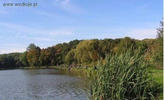 Łowisko specjalne Podzamcze Bychawa