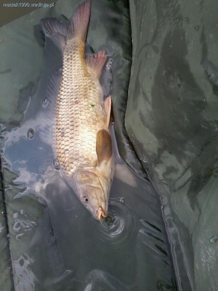 Moje podsumowanie sezonu 2012
