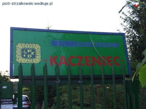 Wędkowanie w Ząbkach k.Warszawy? Oczywiście!