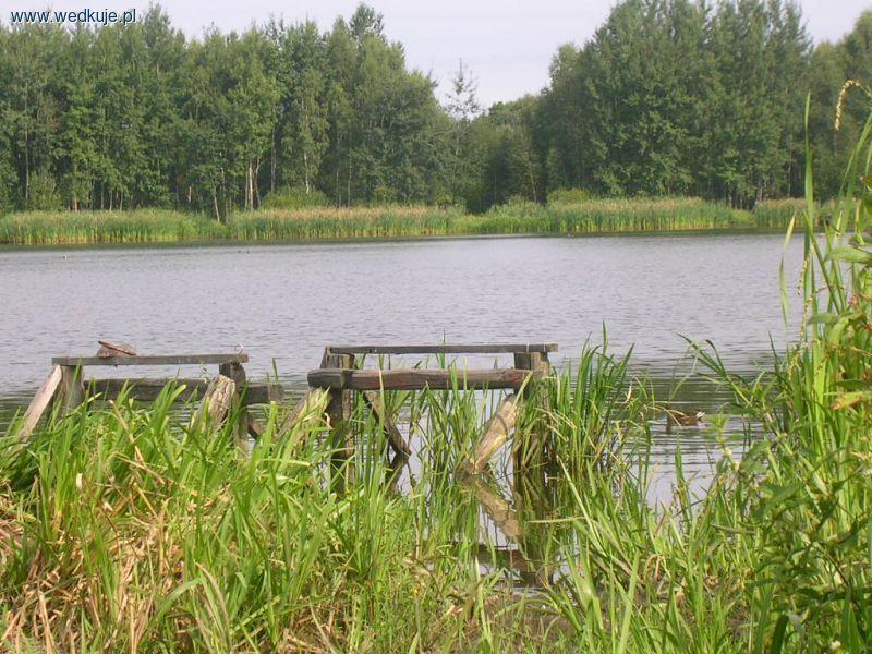 Staw w Gierałtowicach