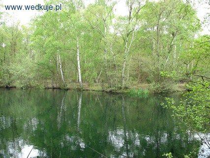 Bradmore Lakes - Jezioro Wielka Brytania