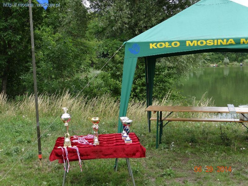 Czarna Przemsza od ujścia potoku Pogorianka do mostu w Sosnowcu.