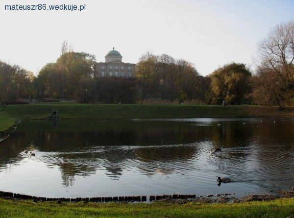 Kradzież czy celowe działanie PZW - staw w Arkadii bez ryb