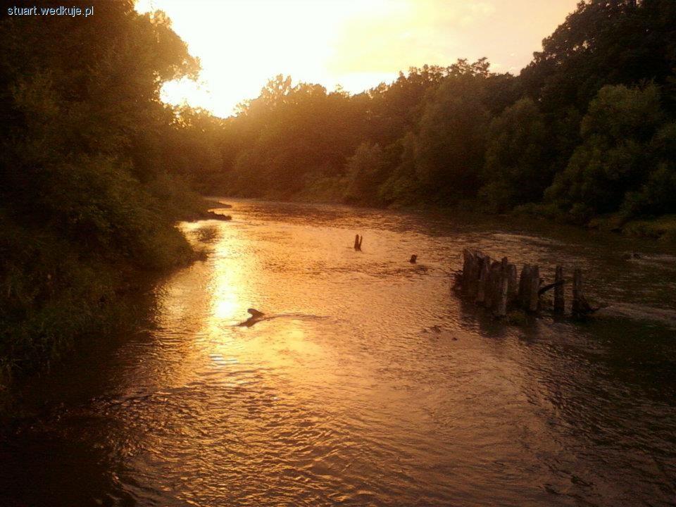 Pierwsze wędkowanie na rzece
